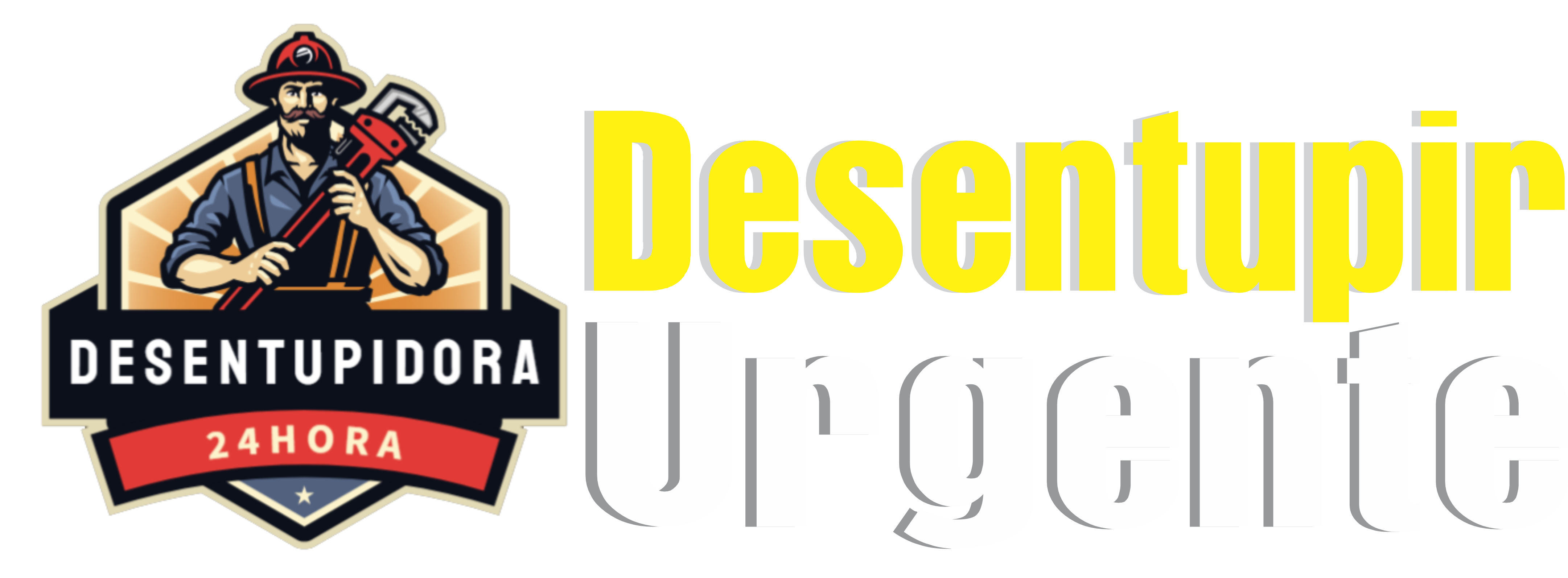 Alpina Desentupidora